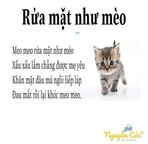 Lời Bài Hát "tập Rửa Mặt" Và "rửa Mặt Như Mèo" Cho Bé - Nguồn Video, Nhạc Chuẩn Lời Bài Hát "tập Rửa Mặt" Và "rửa Mặt Như Mèo" Cho Bé - Nguồn Video, Nhạc Chuẩn