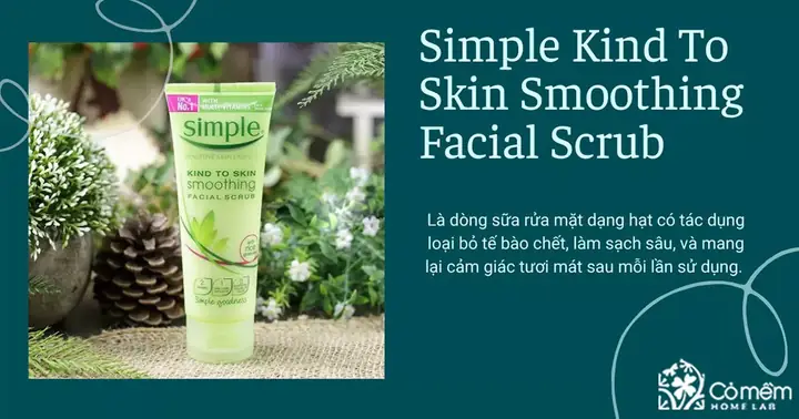 Top Các Loại Sữa Rửa Mặt Từ Thiên Nhiên Lành Tính & Tốt Nhất Hiện Nay Top Các Loại Sữa Rửa Mặt Từ Thiên Nhiên Lành Tính & Tốt Nhất Hiện Nay