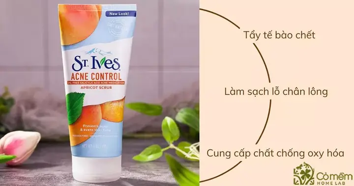 Top Các Loại Sữa Rửa Mặt Từ Thiên Nhiên Lành Tính & Tốt Nhất Hiện Nay Top Các Loại Sữa Rửa Mặt Từ Thiên Nhiên Lành Tính & Tốt Nhất Hiện Nay