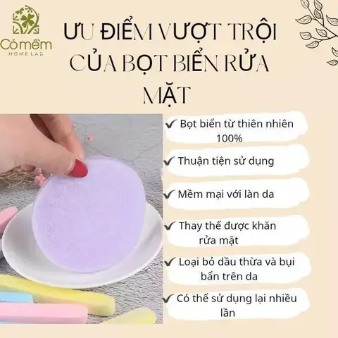 Cách Bảo Quản Bọt Biển Rửa Mặt Đúng Cách Để Kéo Dài Tuổi Thọ Cách Bảo Quản Bọt Biển Rửa Mặt Đúng Cách Để Kéo Dài Tuổi Thọ