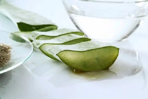 Cách Làm Sữa Rửa Mặt Nha Đam Tại Nhà Đơn Giản, Hiệu Quả Cho Mọi Loại Da Cách Làm Sữa Rửa Mặt Nha Đam Tại Nhà Đơn Giản, Hiệu Quả Cho Mọi Loại Da