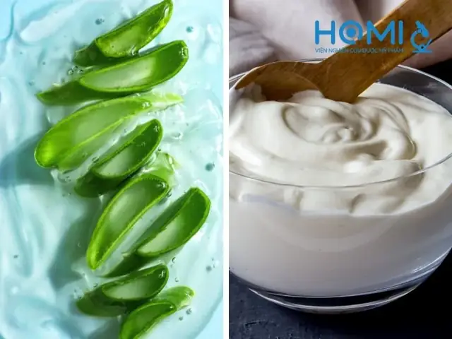 Cách Làm Sữa Rửa Mặt Nha Đam Tại Nhà Đơn Giản, Hiệu Quả Cho Mọi Loại Da Cách Làm Sữa Rửa Mặt Nha Đam Tại Nhà Đơn Giản, Hiệu Quả Cho Mọi Loại Da