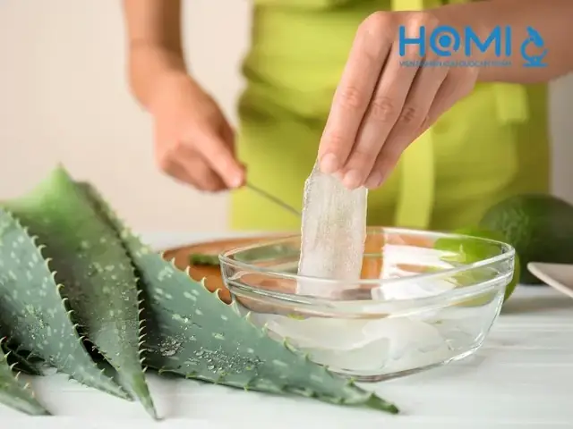 12+ Cách Làm Sữa Rửa Mặt Trị Mụn Tại Nhà Từ Nguyên Liệu Thiên Nhiên