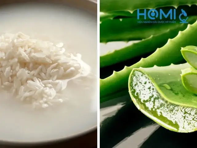 12+ Cách Làm Sữa Rửa Mặt Trị Mụn Tại Nhà Từ Nguyên Liệu Thiên Nhiên