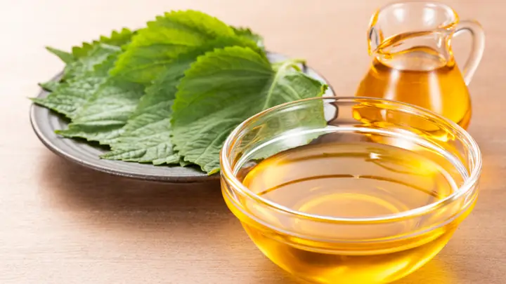 Cách Rửa Mặt Bằng Lá Tía Tô: Hướng Dẫn Chi Tiết, Tác Dụng Và Lưu Ý Cách Rửa Mặt Bằng Lá Tía Tô: Hướng Dẫn Chi Tiết, Tác Dụng Và Lưu Ý