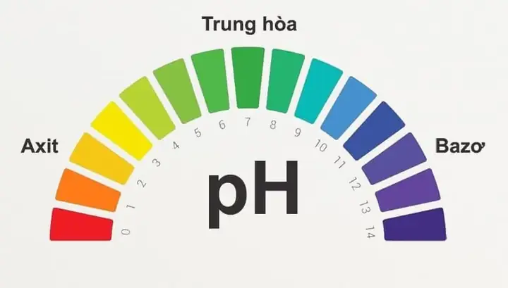 Hướng Dẫn Chi Tiết Cách Thử Độ Ph Sữa Rửa Mặt An Toàn Và Hiệu Quả Hướng Dẫn Chi Tiết Cách Thử Độ Ph Sữa Rửa Mặt An Toàn Và Hiệu Quả