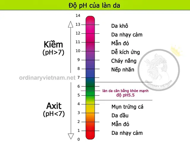 Cách Xem Độ Ph Trên Sữa Rửa Mặt: Hướng Dẫn Chi Tiết & Lợi Ích Cho Da Cách Xem Độ Ph Trên Sữa Rửa Mặt: Hướng Dẫn Chi Tiết & Lợi Ích Cho Da