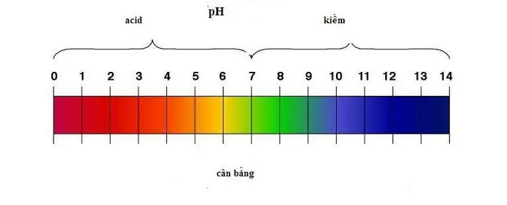 Độ Ph Của Sữa Rửa Mặt Naruko Là Bao Nhiêu? Tìm Hiểu Chi Tiết