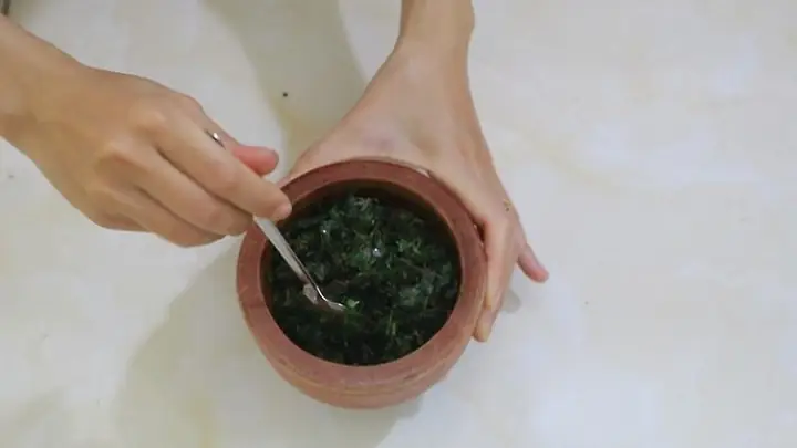 Lá Khế Rửa Mặt: Công Dụng, Cách Làm Và Lưu Ý Để Đẹp Da Toàn Diện Lá Khế Rửa Mặt: Công Dụng, Cách Làm Và Lưu Ý Để Đẹp Da Toàn Diện