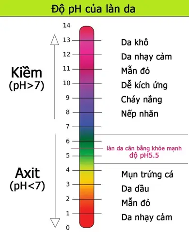 Sữa Rửa Mặt Độ Ph Bao Nhiêu Là Tốt Nhất Cho Làn Da Khỏe Mạnh? Sữa Rửa Mặt Độ Ph Bao Nhiêu Là Tốt Nhất Cho Làn Da Khỏe Mạnh?