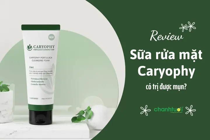 Review Sữa Rửa Mặt Caryophy: Có Tốt Cho Da Dầu Mụn Không? Có Hiệu Quả Làm Sạch Và Giảm Thâm?