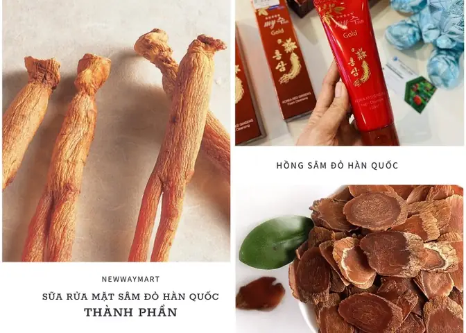 Review Sữa Rửa Mặt Nhân Sâm Đỏ Hàn Quốc: Có Tốt Không, Thành Phần Và Cách Chọn Review Sữa Rửa Mặt Nhân Sâm Đỏ Hàn Quốc: Có Tốt Không, Thành Phần Và Cách Chọn