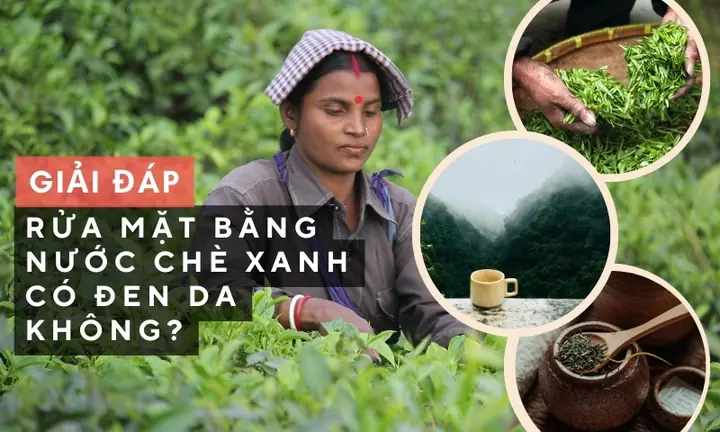 Rửa Mặt Bằng Lá Chè Xanh Có Tốt Không? Lợi Ích, Cách Làm & Lưu Ý Cho Da Sáng Mịn Rửa Mặt Bằng Lá Chè Xanh Có Tốt Không? Lợi Ích, Cách Làm & Lưu Ý Cho Da Sáng Mịn