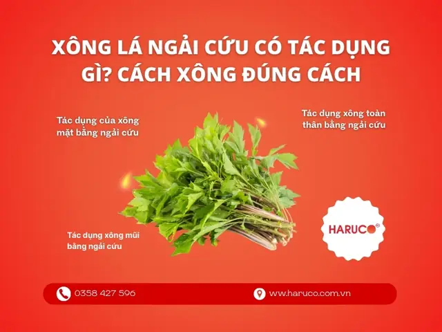 Rửa Mặt Bằng Lá Ngải Cứu: Tác Dụng, Cách Làm Và Lợi Ích Cho Làn Da Rửa Mặt Bằng Lá Ngải Cứu: Tác Dụng, Cách Làm Và Lợi Ích Cho Làn Da