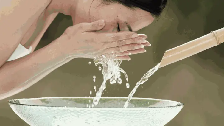 Rửa Mặt Bằng Lá Ổi Có Tốt Không? Tác Dụng, Cách Làm Và Lưu Ý