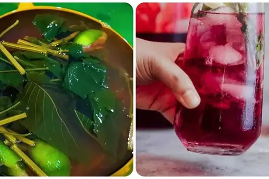 Rửa Mặt Bằng Lá Tía Tô: Hướng Dẫn Chi Tiết & Lưu Ý Quan Trọng Rửa Mặt Bằng Lá Tía Tô: Hướng Dẫn Chi Tiết & Lưu Ý Quan Trọng
