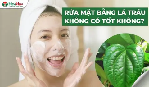 Rửa Mặt Bằng Lá Trầu Không: Hướng Dẫn Chi Tiết & Lưu Ý An Toàn Cho Da