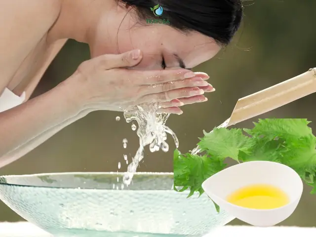 Rửa Mặt Lá Tía Tô: Hướng Dẫn Cách Làm Đúng, Công Dụng Và Lưu Ý