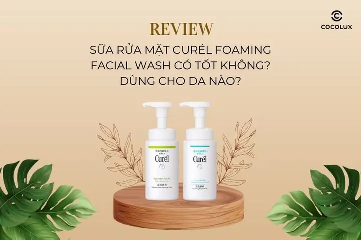 Sữa Rửa Mặt Curel Có Tốt Không? Review Chi Tiết Cho Da Khô, Nhạy Cảm & Dầu Mụn Sữa Rửa Mặt Curel Có Tốt Không? Review Chi Tiết Cho Da Khô, Nhạy Cảm & Dầu Mụn