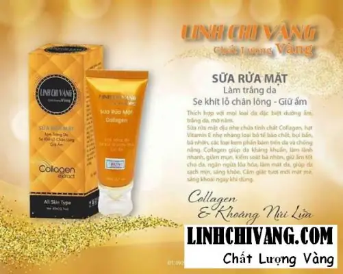Sữa Rửa Mặt Linh Chi Vàng Có Tốt Không? Review & Cảnh Báo Thu Hồi