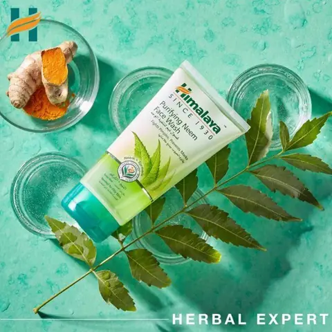 Review Sữa Rửa Mặt Neem Himalaya: Công Dụng, Thành Phần Và Đánh Giá Chi Tiết Review Sữa Rửa Mặt Neem Himalaya: Công Dụng, Thành Phần Và Đánh Giá Chi Tiết