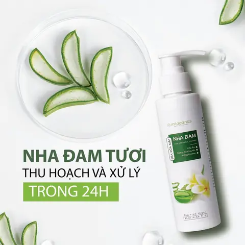 Sữa Rửa Mặt Nha Đam: Công Dụng Tuyệt Vời Và Cách Chọn Đúng Loại Cho Da Sữa Rửa Mặt Nha Đam: Công Dụng Tuyệt Vời Và Cách Chọn Đúng Loại Cho Da