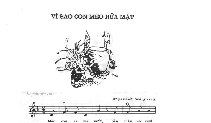 Vì Sao Mèo Rửa Mặt: Giải Mã Hành Vi Thú Vị Của Mèo Vì Sao Mèo Rửa Mặt: Giải Mã Hành Vi Thú Vị Của Mèo
